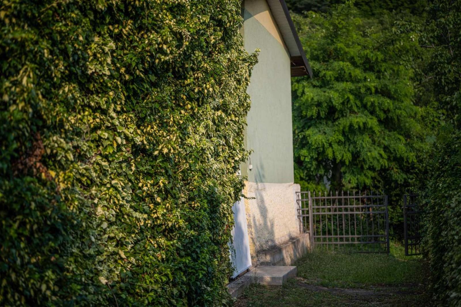Vacation Home Rot Ohrid Ngoại thất bức ảnh