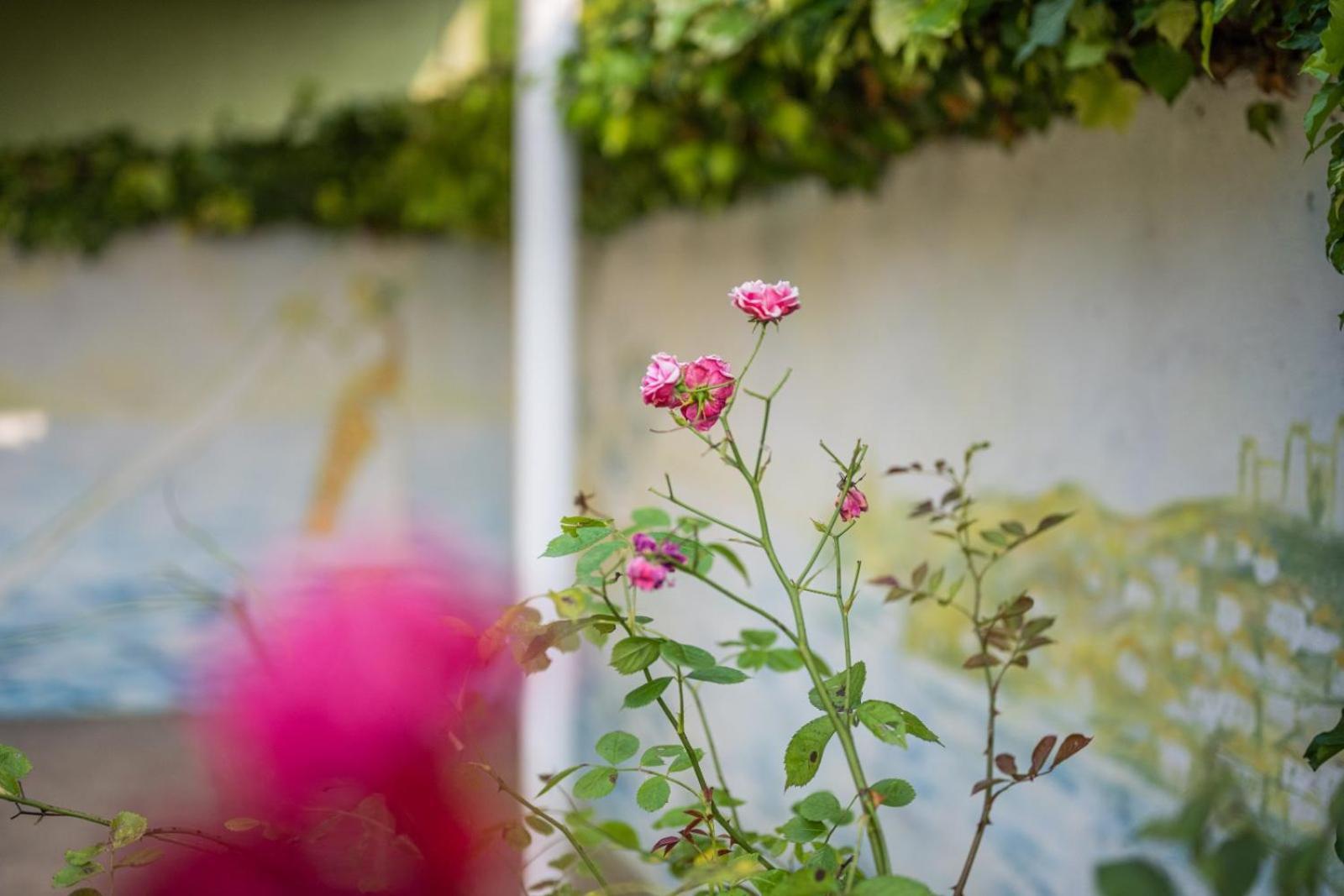 Vacation Home Rot Ohrid Ngoại thất bức ảnh